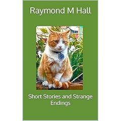 Short Stories and Strange Endings Audiobook By Raymond M Hall cover art