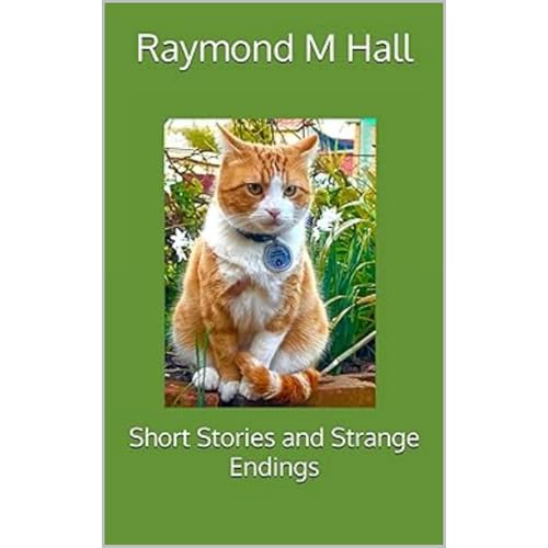 Short Stories and Strange Endings Audiolibro Por Raymond M Hall arte de portada