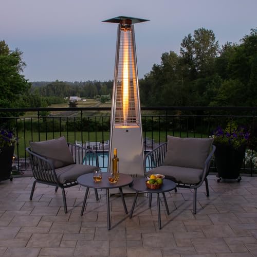 Paramount Flame Patio Heater 42,000 BTU, Grey and Silver by Paramount - Image 6