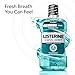 Listerine Cool Mint Intense Antiseptic Mouthwash, Daily Oral Rinse Kills 99.9% of Germs That Cause Bad Breath, Plaque and Gingivitis. for a Fresh, Clean Mouth, Intense Mint Flavor, 250 mL/ 8.5 Fl.Oz.