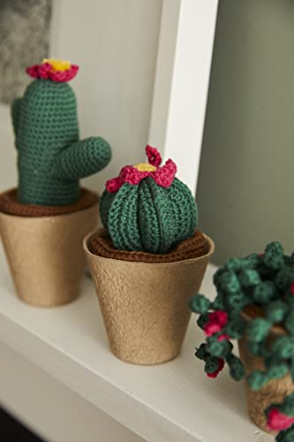Kit de gancho DMC de cactus de 8 cm para relajarse tejiendo a crochet 7