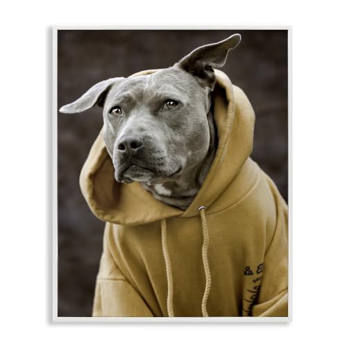 Smiling Labrador Hooded Sweatshirt, 24 x 30 Inch Framed Giclée Print