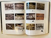 Australia's Reptiles: A Photographic Reference to the Terrestrial Reptiles of Australia 0732200113 Book Cover