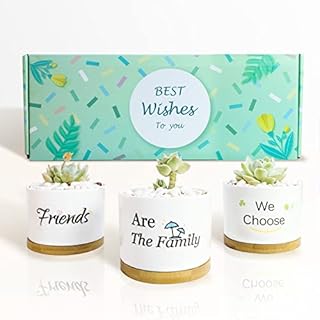 Plai Ceramic Succulent Pots - Friends Are The Family We Choose, Birthday Christmas Funny Gifts for Women Female True Frienship