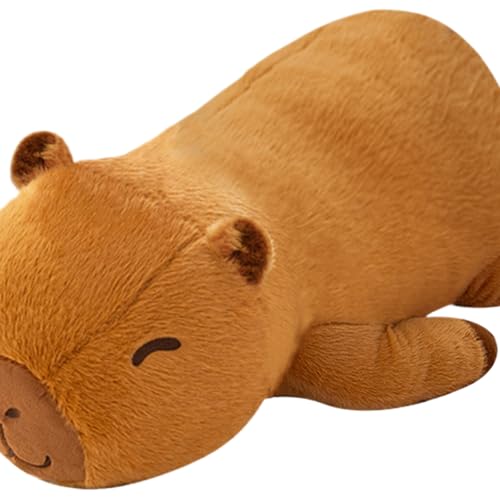 Peluche lestée pour la chambre et le bureau coussin doux de canapé - 7