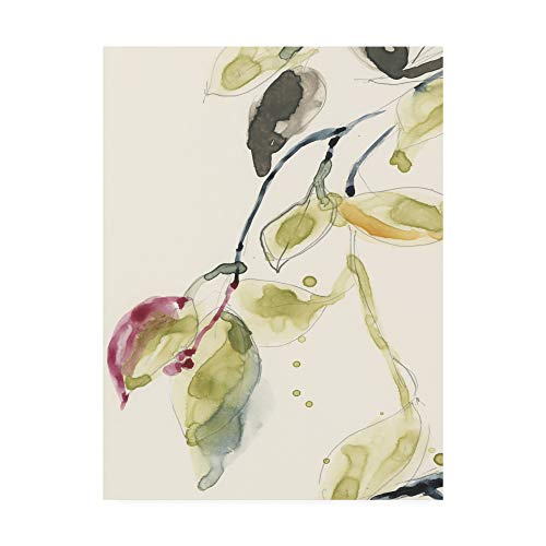 Trademark Fine Art Leaf Branch Triptych I by Jennifer Goldberger, 35x47 by Trademark Fine Art - Used condition - US$55.62