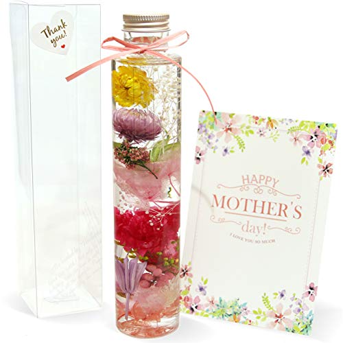 ybsOEJ[htz ̓ n[oE i iӂ̃J[l[VEv~Aj