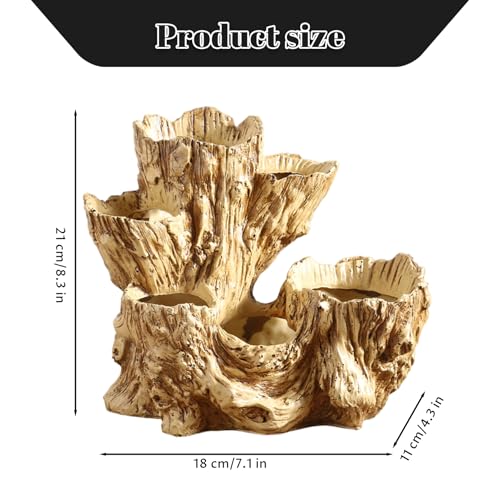 Jardinière rustique intérieure extérieure pour petites plantes