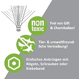 ISOTRONIC Kolce odstraszające ptaki – odstraszacz gołębi na ptaki, gołębie, koty i kuny – odstraszacz gołębi na ogrodzenia, parapety, dachy, drzewa i ogrody (5 m | 20 sztuk)