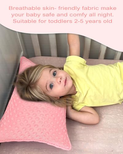 Image of ALVABABY Toddler Pillowcase Kids Pillow Cover Bean Velvet Soft Warm 2 Pack Fit 13 inchx 18 inch or 12 inchx16 inch Envelope for Girl Boy Travel Pink