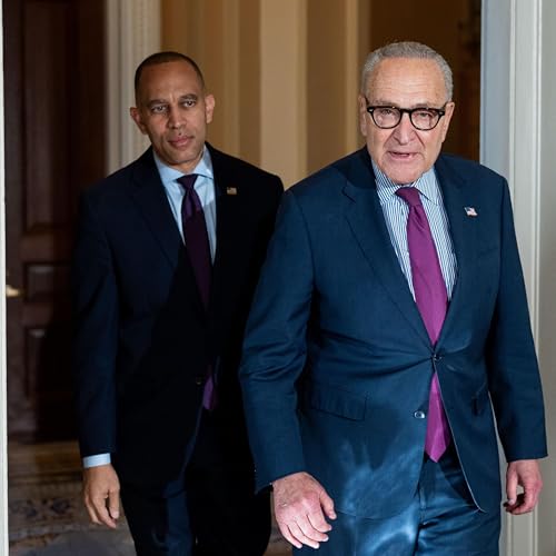 Were There Any Winners In The Government Shutdown? Podcast Por  arte de portada