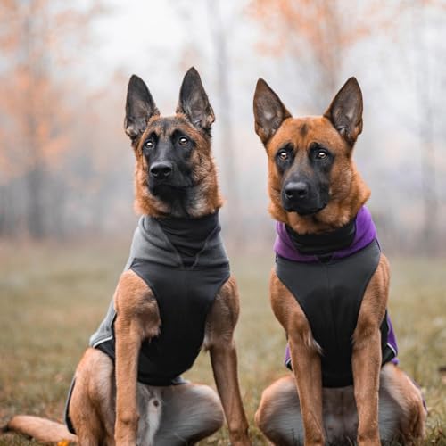 Pomppa Jumppa Fleecejacke für Hunde, 34 cm, Graphit