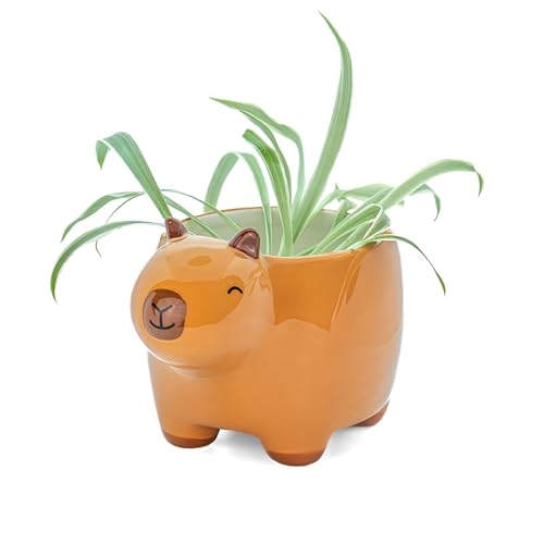 Vignette produit