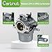 Carbhub Carburetor Replacement for Walbro LMT 5-4993 with Mounting Gasket Filter 799728 498027 499161 498231 494502 494392 495706 498134 496592 699318 699737 699856 699896 Carb