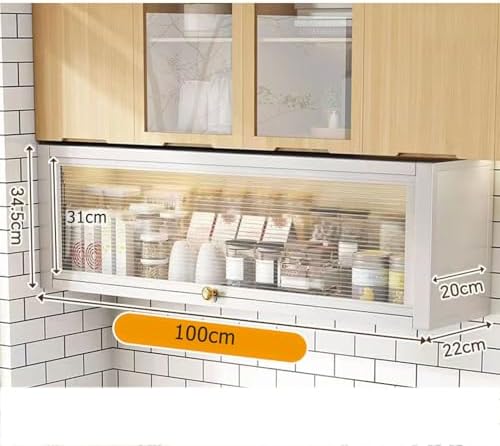 HUIYIN Wall-Mounted Spice Rack Cabinet, Metal Storage Organizer with Door, Seasoning Jar Shelves for Kitchen, Pantry & Bathroom, Versatile Steel Garage Organizer