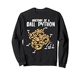VINTAGE ALBINO BALL PYTHON LOVER