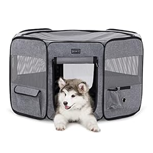 Petsfit Welpenauslauf faltbar Welpenlaufstall Tierlaufstall Pop-Up Design für Hunde Hasen Katzen, Verdickter Stahlträger Freilaufgehege Abschließbarer Reißverschluss mit Aufbewahrungstasche