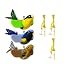 3PCS Bird
