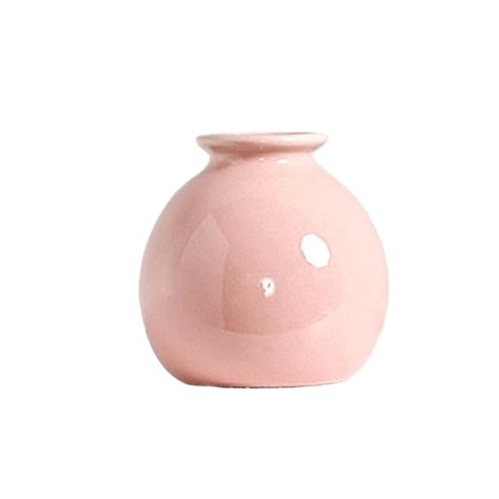 Mini Vase Flower Vase Hydroponics Vases Creative Room Decor Mini Plant Bottle Pots Desktop Ornament Craft(7.27x3.1cm-B)