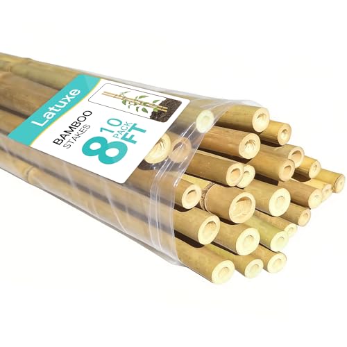 Latuxe Bamboo Stakes 8FT 10pcs Garden Stakes 94inch Specifically Designed for Climbing Plants Ideal for Tomatoes Beans Cucumbers Peppers Vines and More Plant Growth