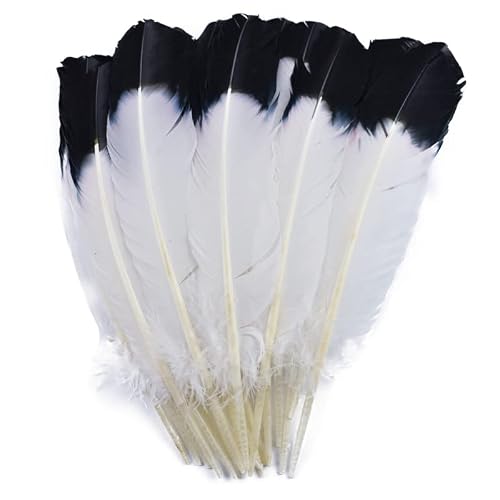 WEIDU 30Pcs/Lot Turkey Wing Quill Feather Black Tipped Imitation Eagle Feathers for Crafts Manmade Decorations DIY Carnaval Assesoires