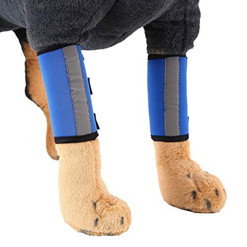 Image of 1 Pair Reflective Tape Elbow Protectors, Dog Front Leg Braces Pet Knee Pads Dog Elbow Protector Help with Injuries Sprains and Loss of Stability Caused by Arthritis(M, Blue)