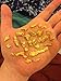 Mammoth Gold Paydirt 'THE NUGGET' Panning Pay Dirt Bag - Gold Prospecting Concentrate