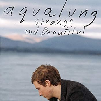 Audio CD Strange And Beautiful Book