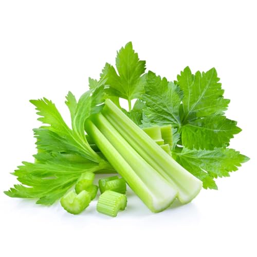 Image of Nutrifresh Celery Hydroponically Grown (Appro.100gm) Pack