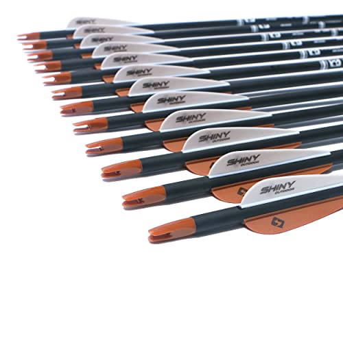 Tiger Archery 30Inch Carbon Arrow Practice Hunting Arrows With Removable Tips For Compound & Recurve Bow(Pack Of 12) (Brown White) #TOP3