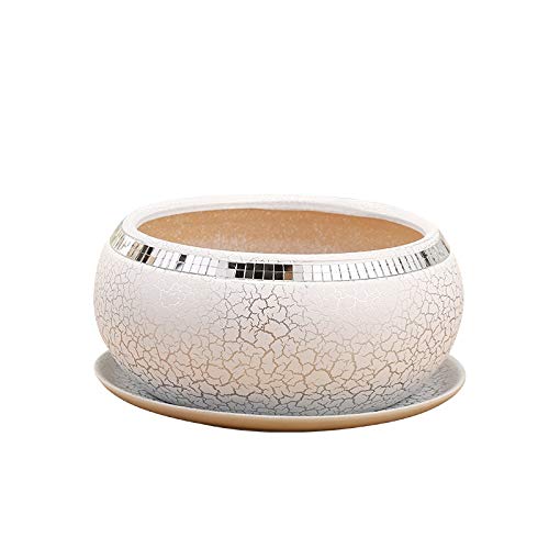 Pot de fleurs en céramique blanche texturée pour plantes et cactus d'intérieur - 3