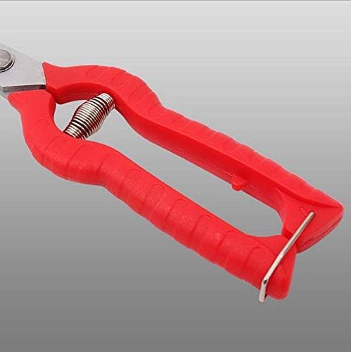 Extra Long Edge Stainless Steel Pruning Shears Fruit Trees Bonsai Sharp Garden Scissors Tool - Image 4