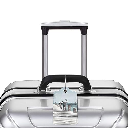 Étiquette de bagage avec boucle acier et carte d'identité