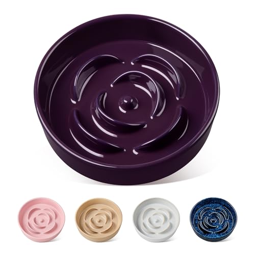 vancasso Slow Feeder Dog Bowl, 0.6 Cups Ceramic Dog Food Dish for Fast Eaters Small Breed, Puzzle Bowl for Small Dogs and Cats, Dark Purple