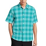 TZTTZT - Camisa hawaiana para hombre, casual, retro, con estampado de cuadros, de manga corta, con botones, para verano, playa, para hombre, Multicolor, S