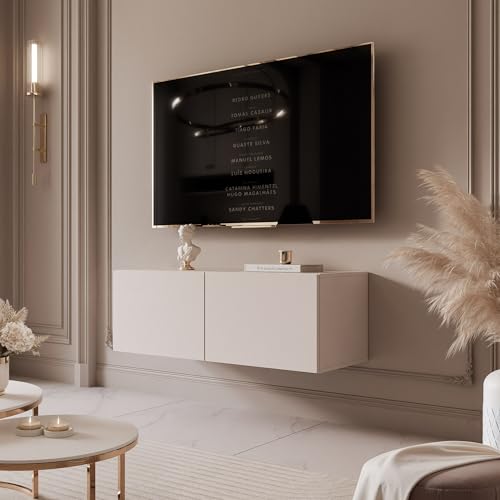 IDOHOME 100 cm Meuble TV Suspendu 100 cm avec Rangement et LED - Meuble TV Mural avec 2 Compartiments Spacieux