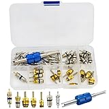 49PCS Car Air Conditioning Valve Core Kit, A/C R12 R134a Car HVAC Refrigeration Valve Cores Repair Kit Double Head Dual Dismantling Installer Tool,A/C Valve Core Kit & AC Removal and Install Tool