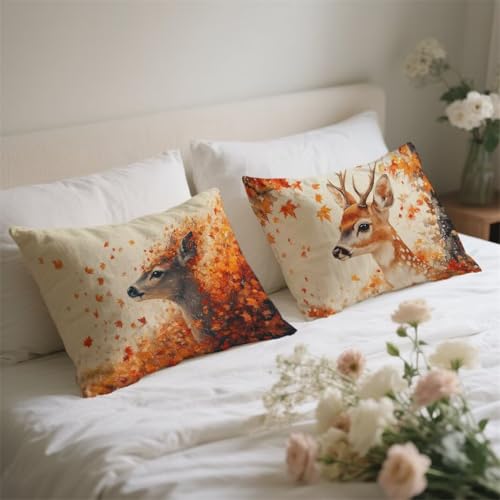 Housse de coussin 40x60 impatiente d'embellir votre balcon et salon de jardin