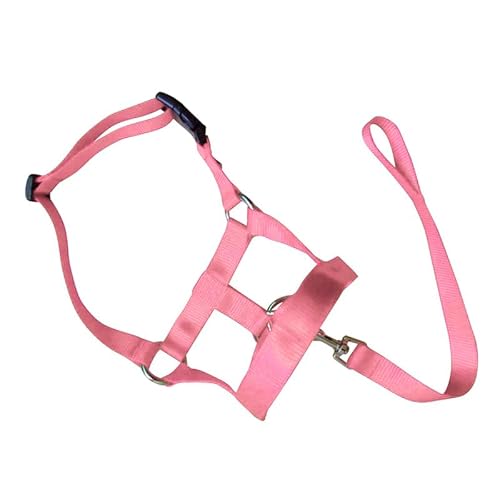 dog head collars