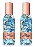Bath & Body Works Room Perfume Spray Endless Weekend 1.5 oz