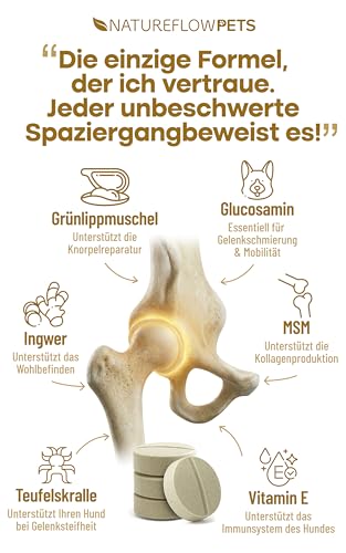 Gelenktabletten Hunde – Test SEHR GUT Made in Germany mit Grünlippmuschel, MSM und Teufelskralle - Keine Kapseln, hohe Akzeptanz Gelenktabletten Hund - 100 Stück