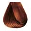 7/4, Copper Blond
