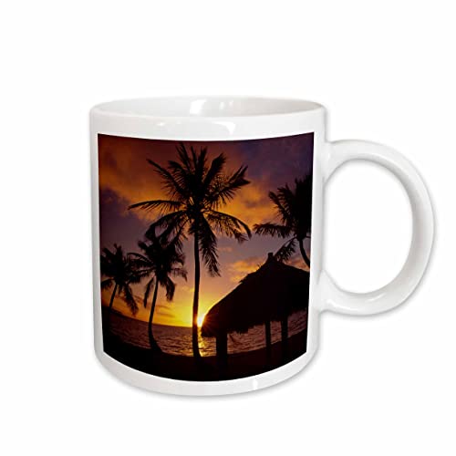 3dRose Checca Lodge, Islamorada, Florida - US10 DPB0052 - Douglas Peebles 15oz Mug
