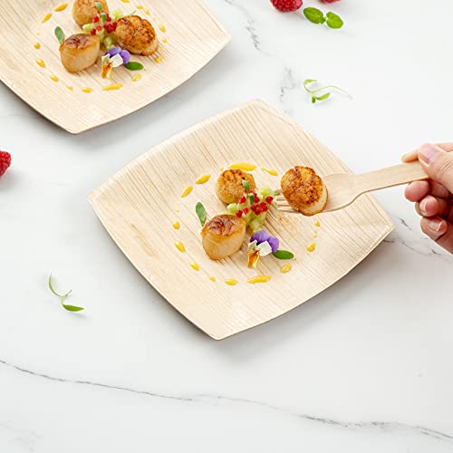 Image of Restaurantware Midori 6 x 6 Inch Medium Square Palm Plates 100 Microwavable Palm Leaf Plates - Freezable Sustainable Areca Palm Leaf Plates Oven-Ready For Hot & Cold Foods