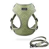 No-Pull Dog Harness & Leash Set – Cute Unique Heart Pattern, Lightweight Breathable Neoprene, Adjustable Buckle – Available Sizes from XXS - L (Harness Leash Set-Green, M-Medium)