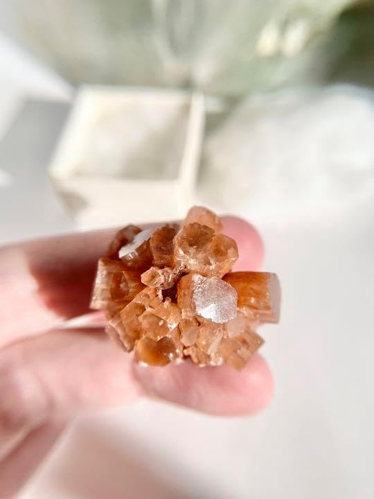 天眼 瑪瑙 原石 s807 オーシャンアゲート 仏眼 鉱物 花眼 マダガスカル