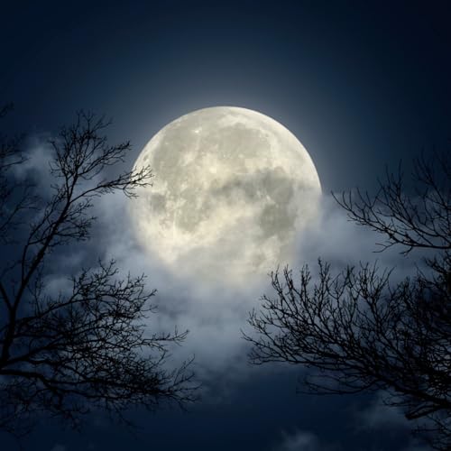 Documentos RNE - La Luna. Sol en la oscuridad - 09/02/26