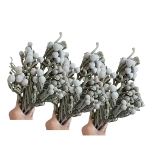 Welcome Logo Flowers 3 ramos de Brunia plateada seca miniatura 1