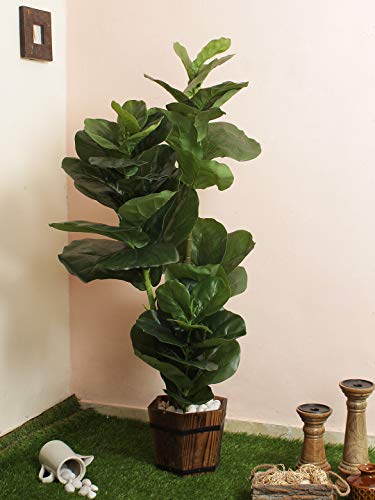 Fourwalls Artificial Fiddle Leaf Fig Plant (Green, 1 Piece)