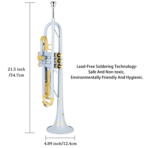 Eastrock Bb Trumpet Standard Trumpet Set With Carrying Case,Gloves, 7C Mouthpiece, Cleaning Kit, Tuning Rod, Gray (Hand Carved Craft) #TOP4